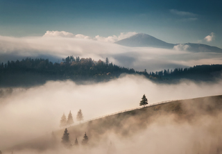 Mountain fog