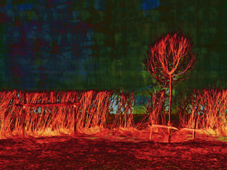 Когда природа горит