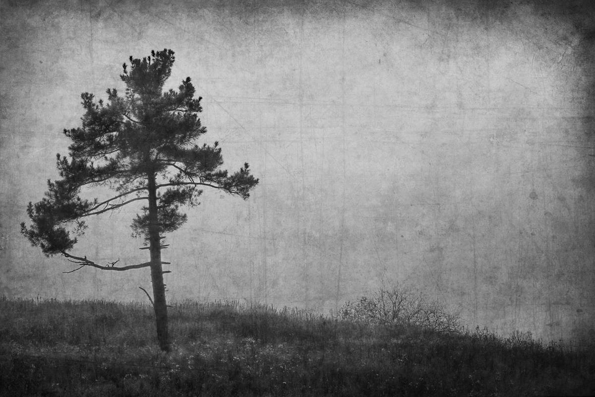 Одиночество