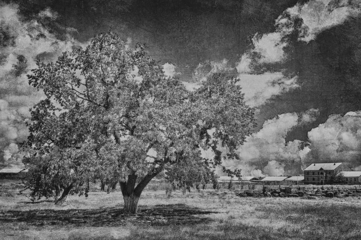 Три в одном