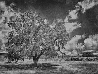 Три в одном