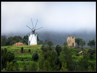 Fog in the mountains