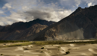 WHITE SAND DUNES OF NUBRA