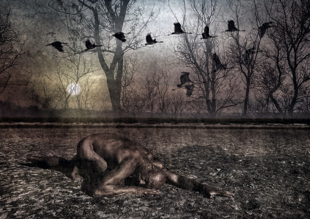 Обпалені дерева