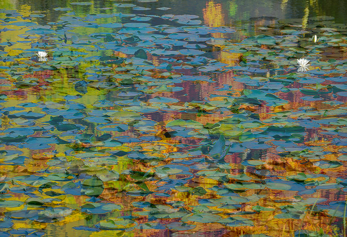 Калейдоскоп на річці Тетерів