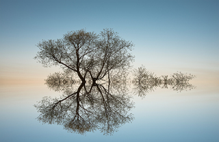 Весняна блакить