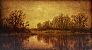 Річка Тетерів