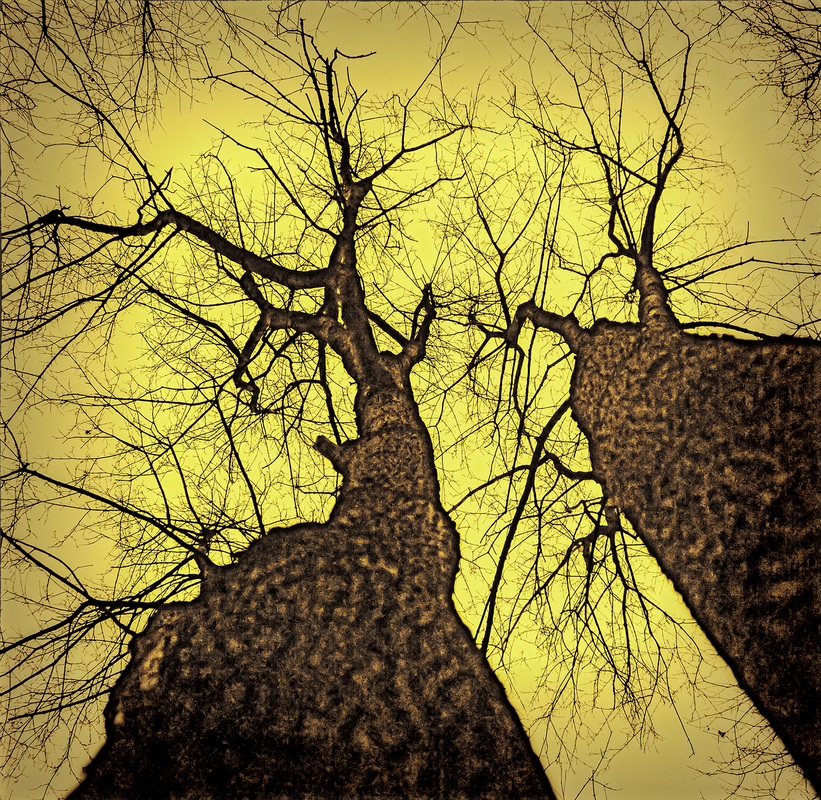 Життя разом