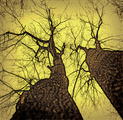 Життя разом