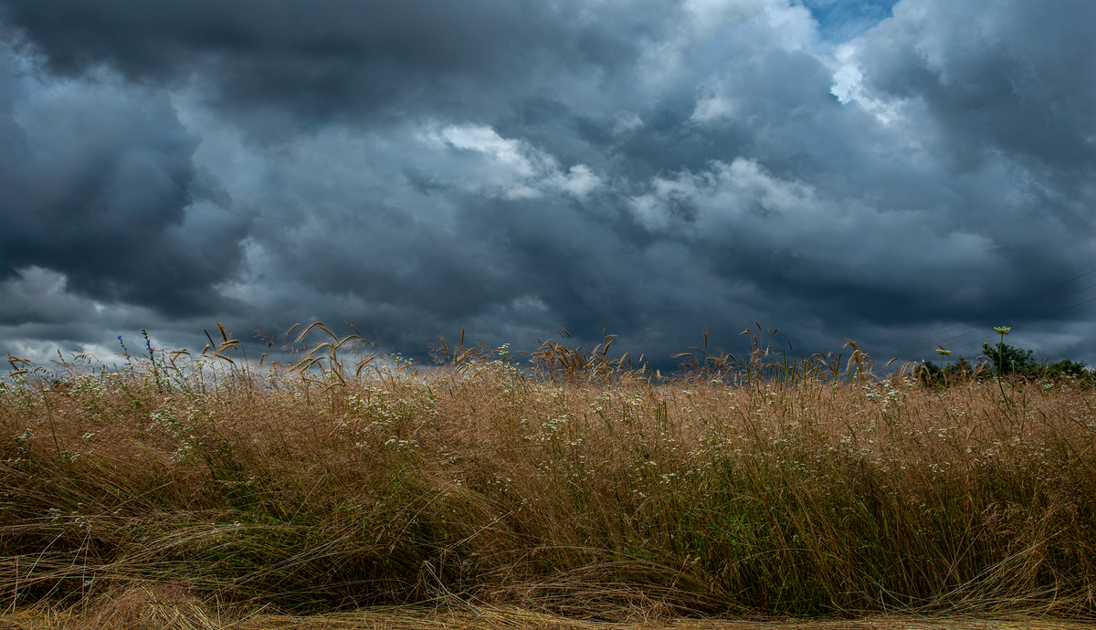 Гроза підходить