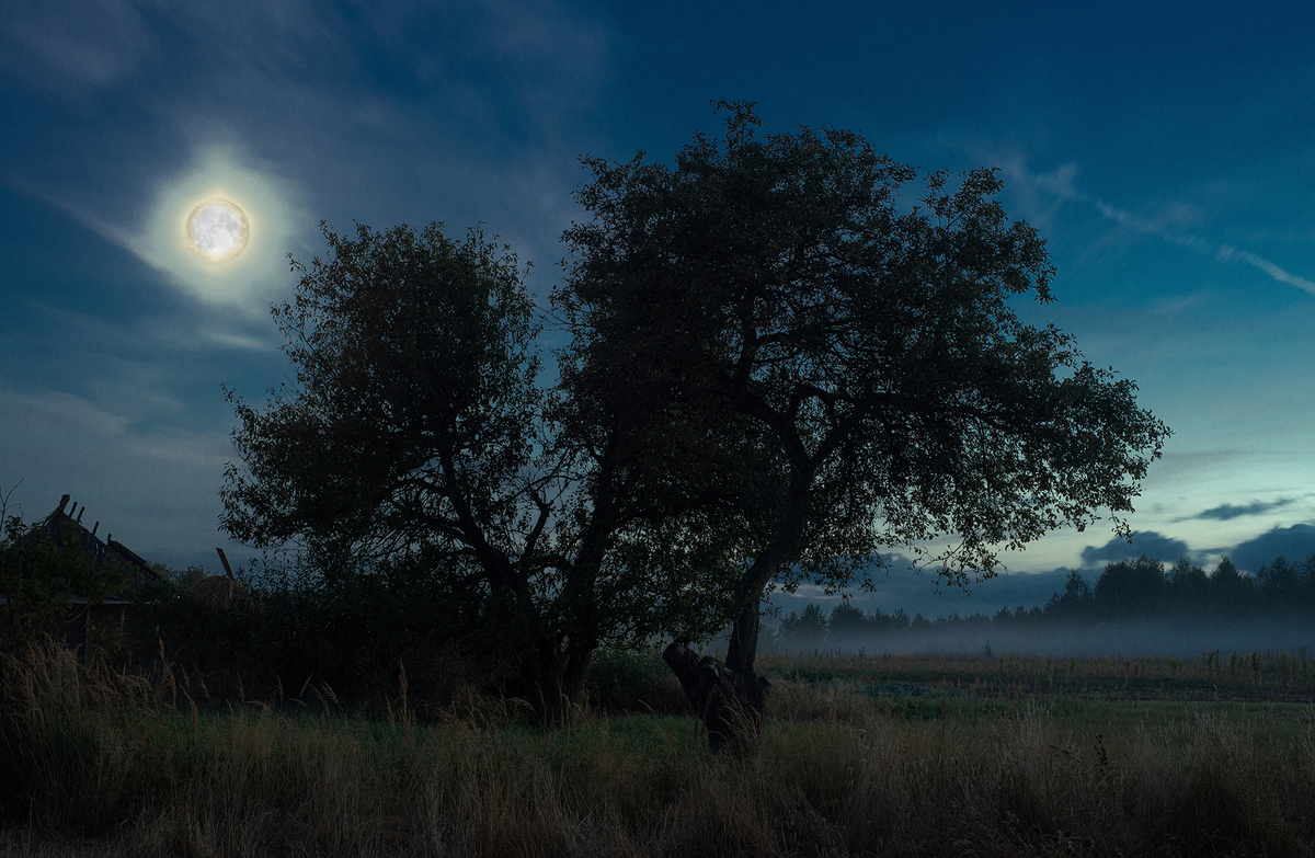 Серпнева ніч