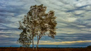 Осінній вітер