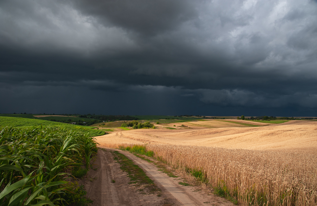 Стан природи