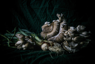 Грибной натюрморт