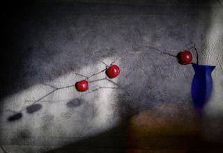 Зимние яблоки