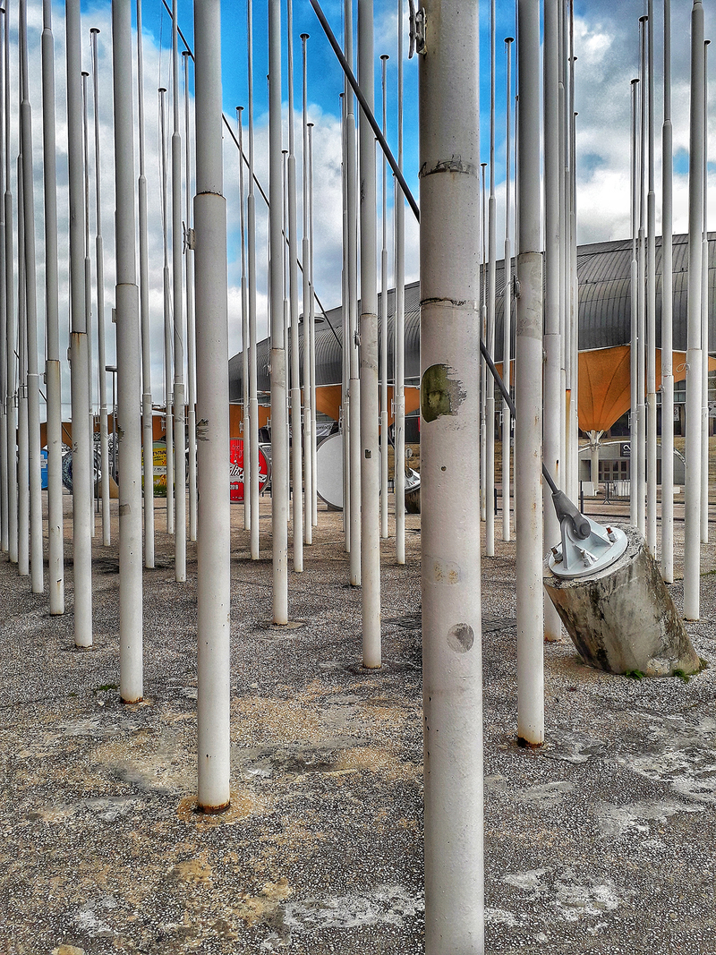 Лес будущего