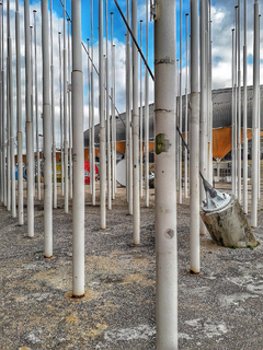 Лес будущего