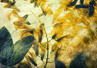 солнечный день