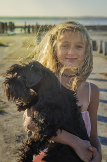 Ветер им к лицу