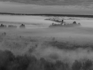 Поліські тумани