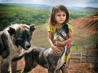 In the constellation of wild dogs