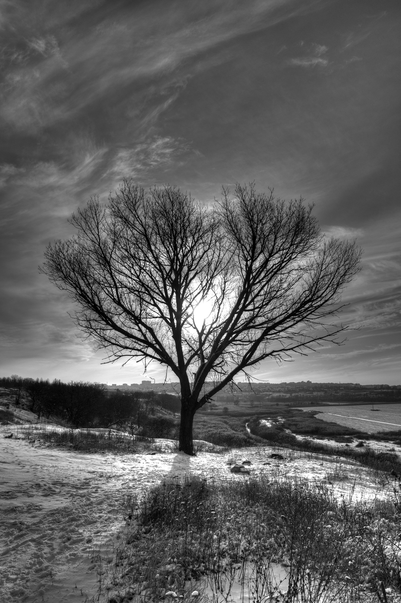 Одиночество