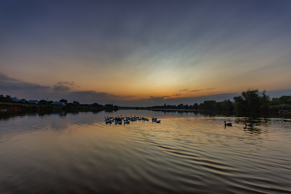 Ранкові процедури