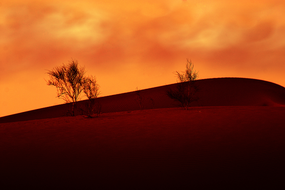 Orange Desert