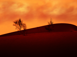 Orange Desert
