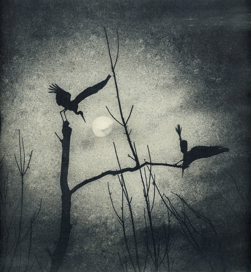 Гайстрова ніч.