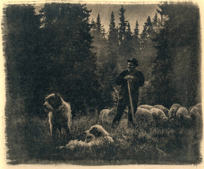 Лазещанський пастух.