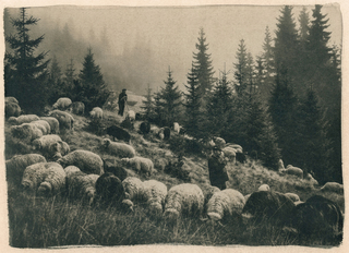 На схилах Говерли.