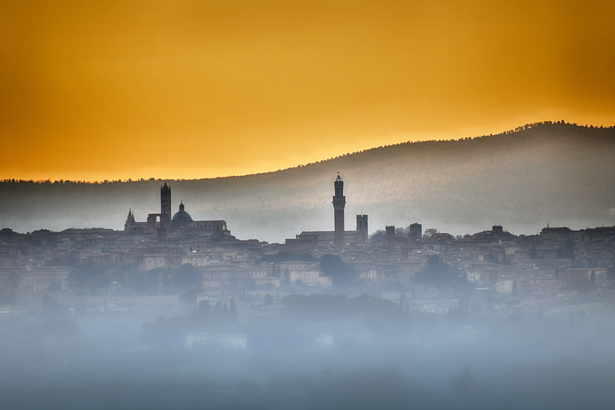 Skyline of Siena