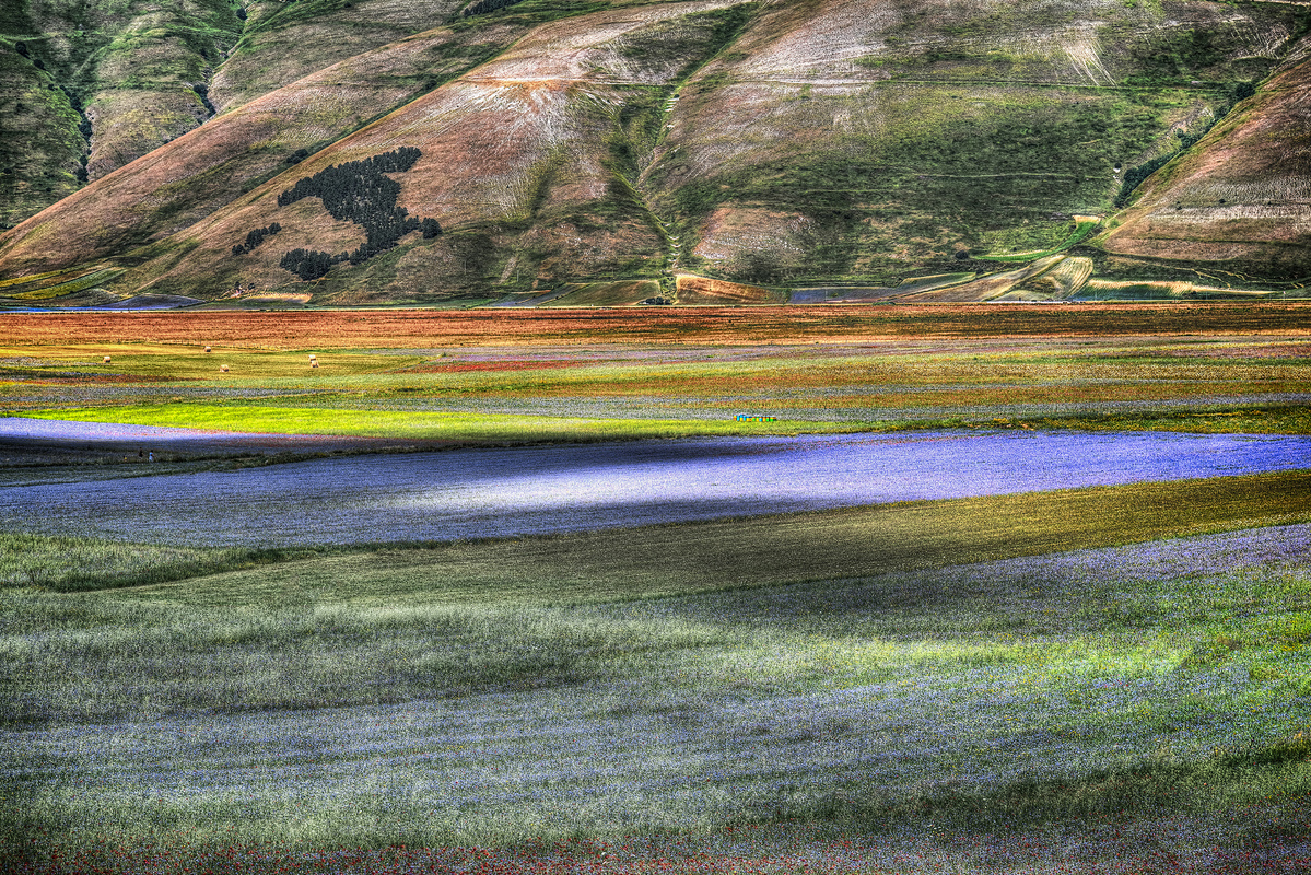 Castelluccio 2020-02