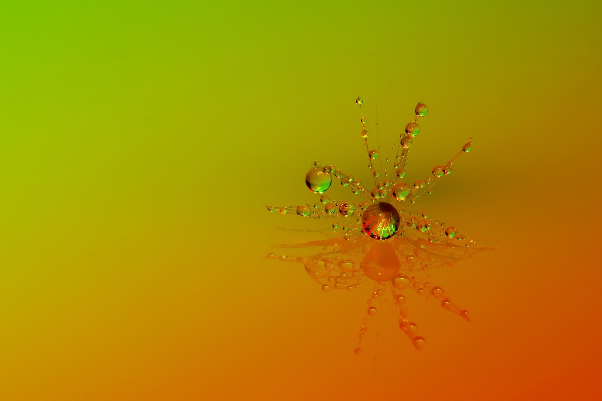 Украшение-1