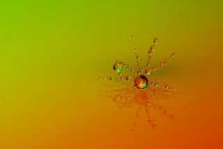 Украшение-1