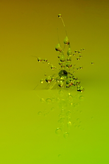 Украшение-2