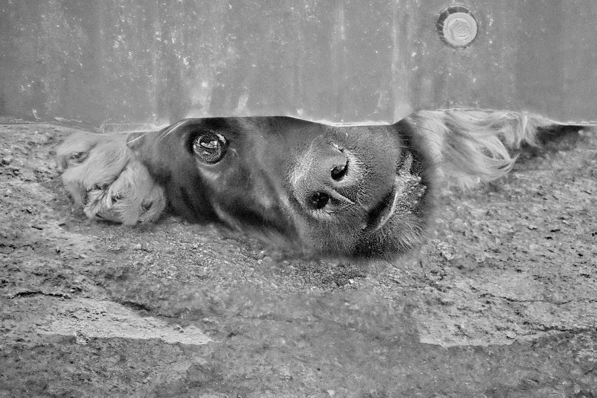 Фейсконтроль