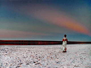 Соляная пустошь