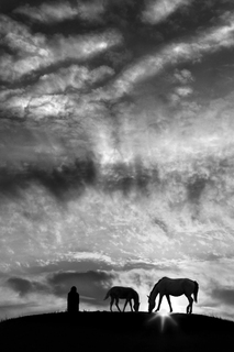 Половецька кам'яна баба