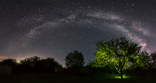 Чари літньої ночі