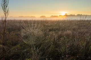 Спіймати світанок