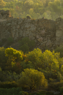 Загублений світ