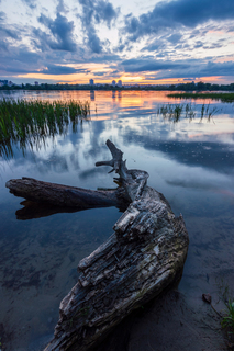 Після весняної грози