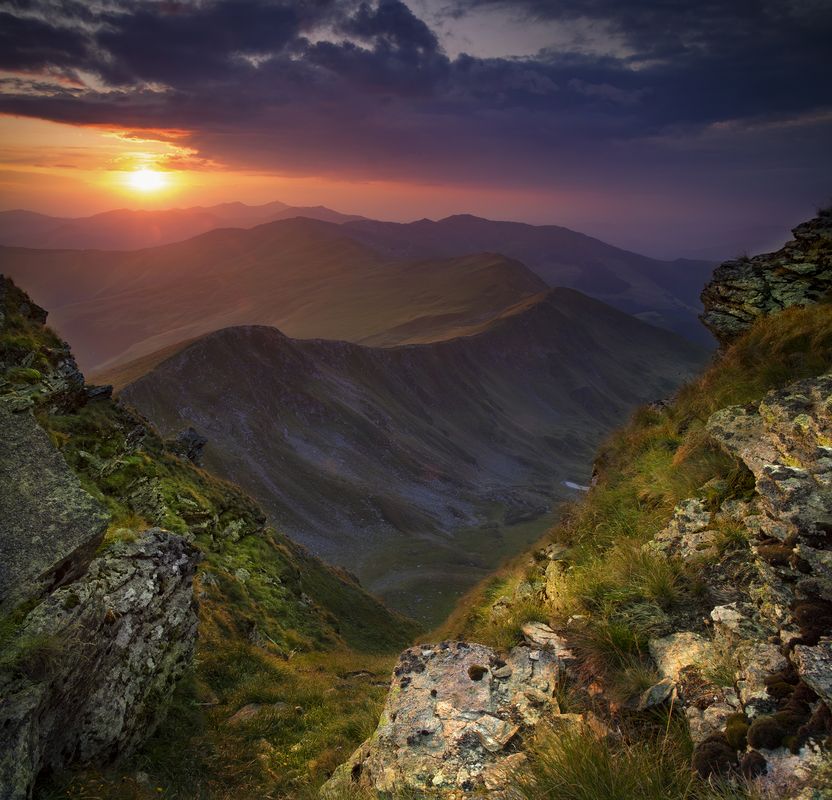 Тут живе щастя