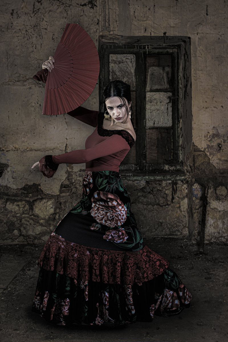 The Flamenco Dancer