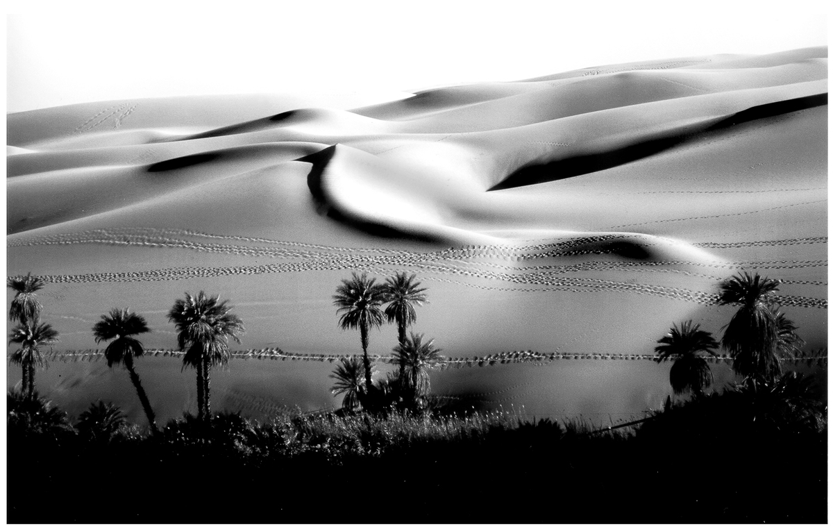 Libyan Dunes