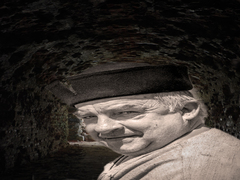 Охоронець старого замку