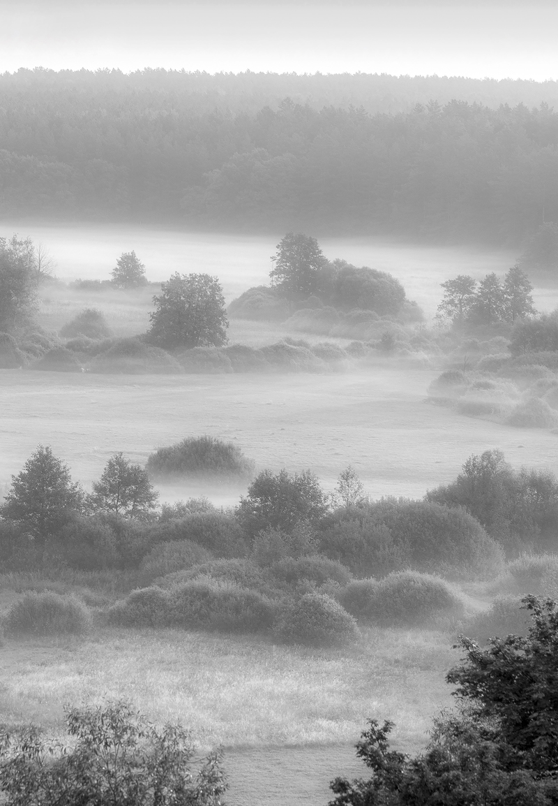 Ранковий серпанок