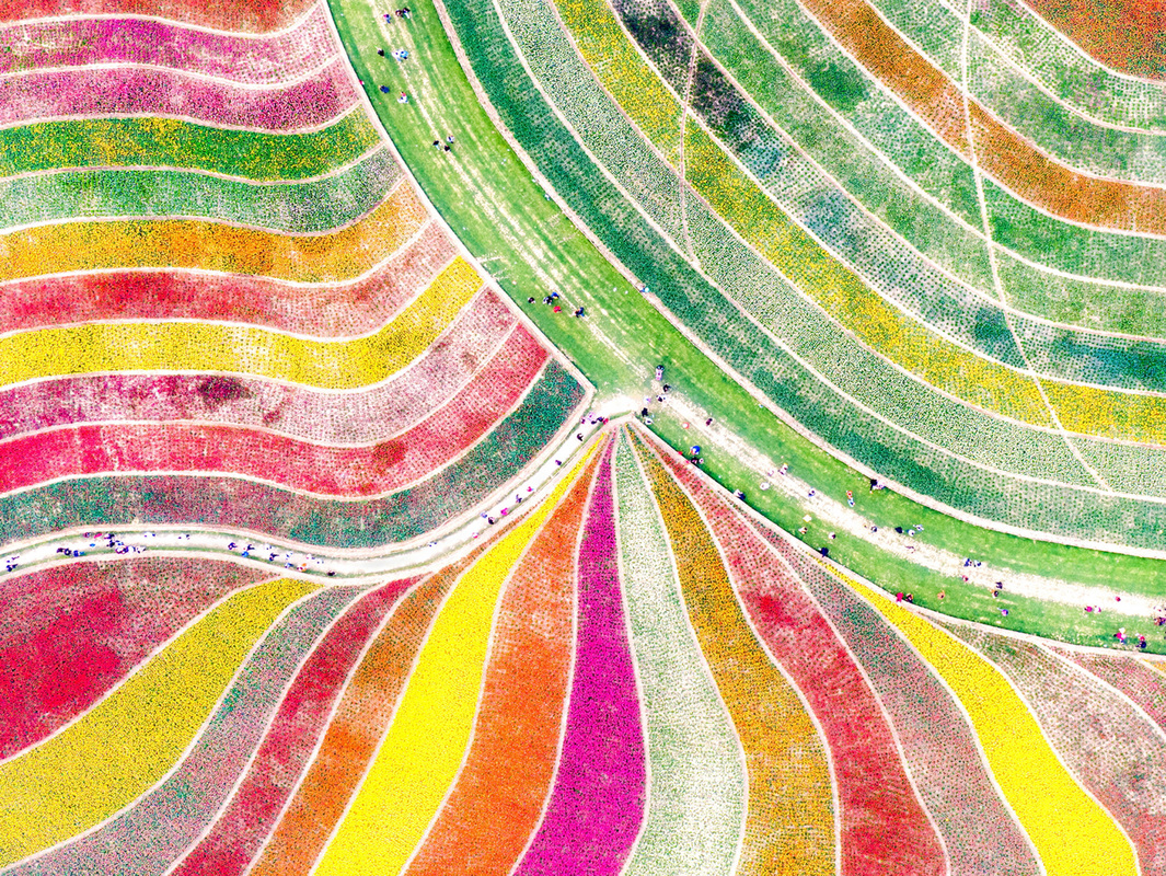 Tour in flower fields